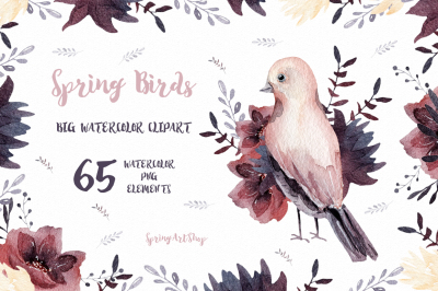 Spring birds Big watercolor clipart