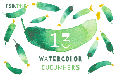 13 VEGETABLE WATERCOLOR ELEMENTS