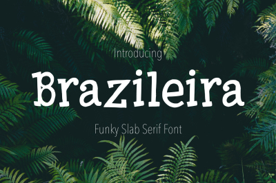 Brazileira - Slab Serif Font