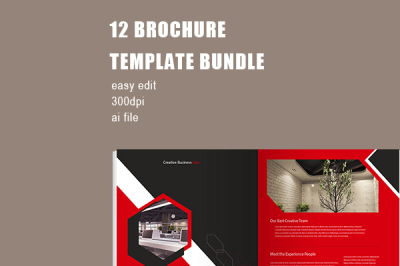 Red Professional Company Brochure Template Bundle