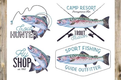 Rainbow Trout Fish Illustration.