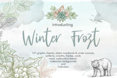 Winter Frost