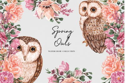 Spring Owls Watercolor Collection