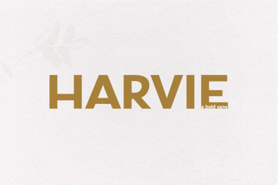 Harvie - A Bold Sans Font