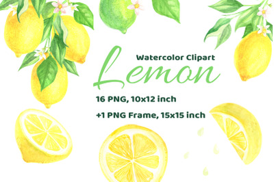 Watercolor Lemon Citrus Fruit Hand Drawn Clip Art