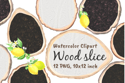 Wood Slice Watercolor Png