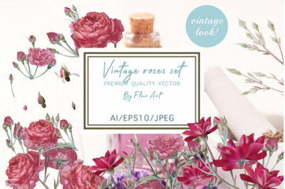 Pretty rose vector clipart set