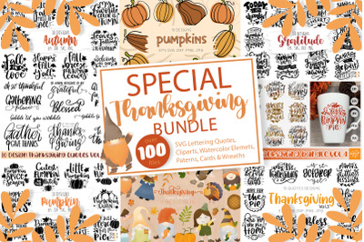 Special Thanksgiving Bundle