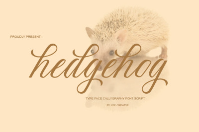 Hedgehog