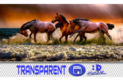 200 HORSES TRANSPARENT PNG ANIMALS PHOTOSHOP OVERLAYS BACKGROUNDS