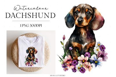 Watercolour Dachshund PNG Clipart