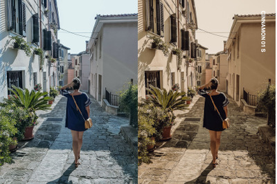 Warm Moments Presets and LUTs