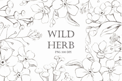 Wildflowers png. Vintage flowers
