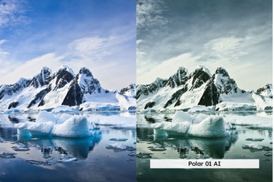Arctic Lightroom Presets and LUTs