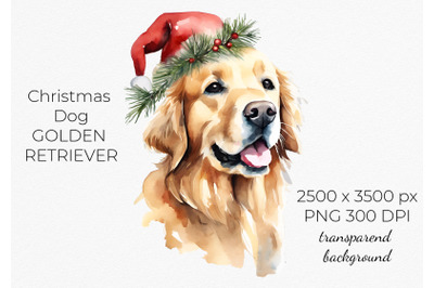 Golden Retriever Christmas, Santa Hat