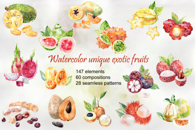Watercolor tropical fruits.