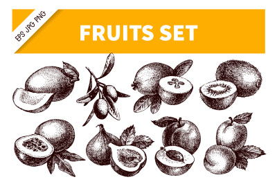 Hand Drawn Sketch Fruits Vector Set
