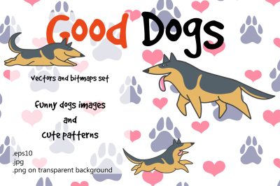Funny Dogs