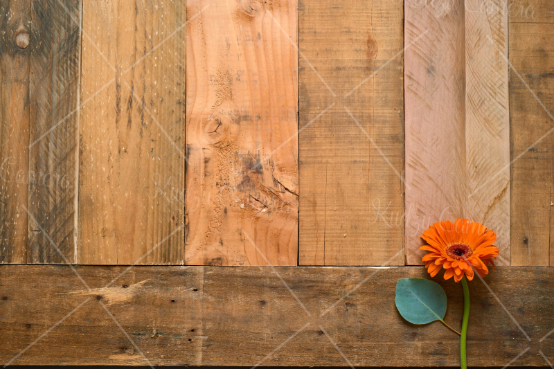 rustic-flower-photo-set-on-pallet-wood