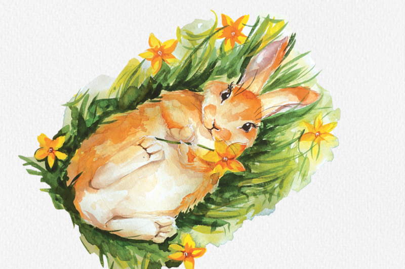 cute-bunny-watercolor-illustrations