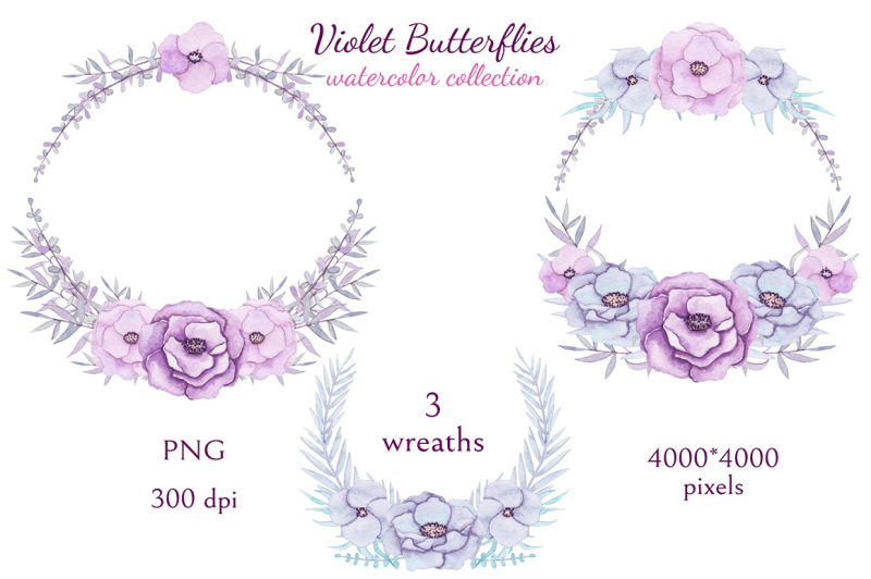 violet-butterflies