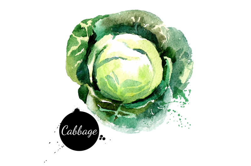 20-watercolor-vegetables-vector-set