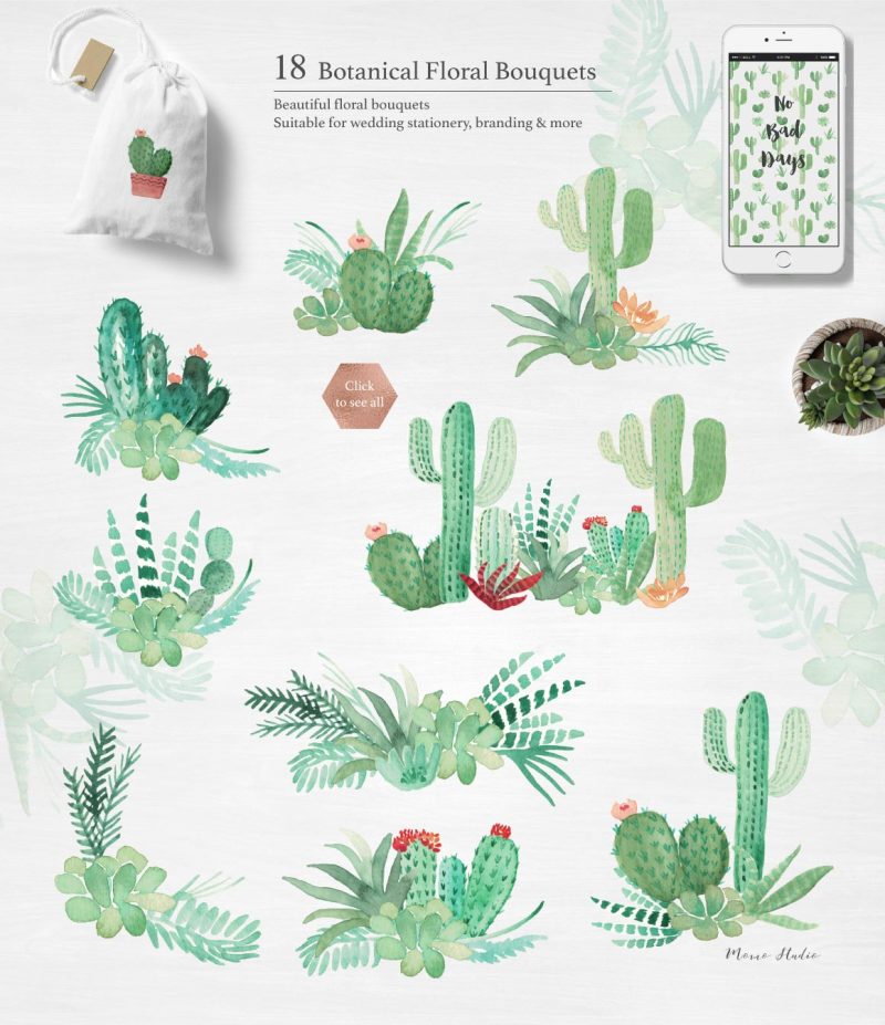 cactus-succulent-watercolor-greenery-design-set