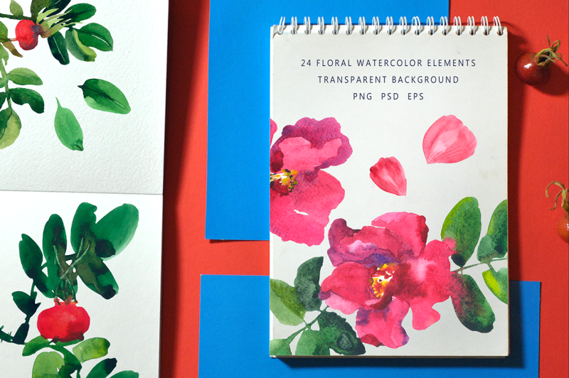 rosehip-floral-and-abstract-set