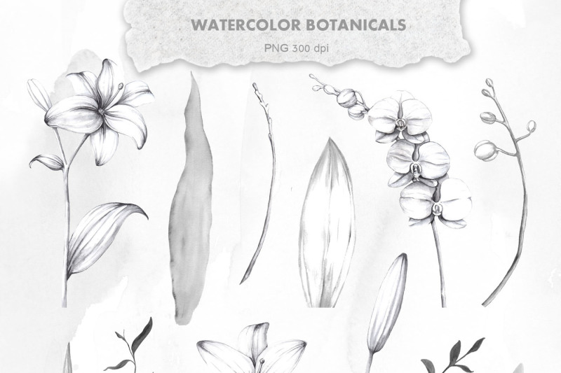 ikebana-botanical-winter-kit