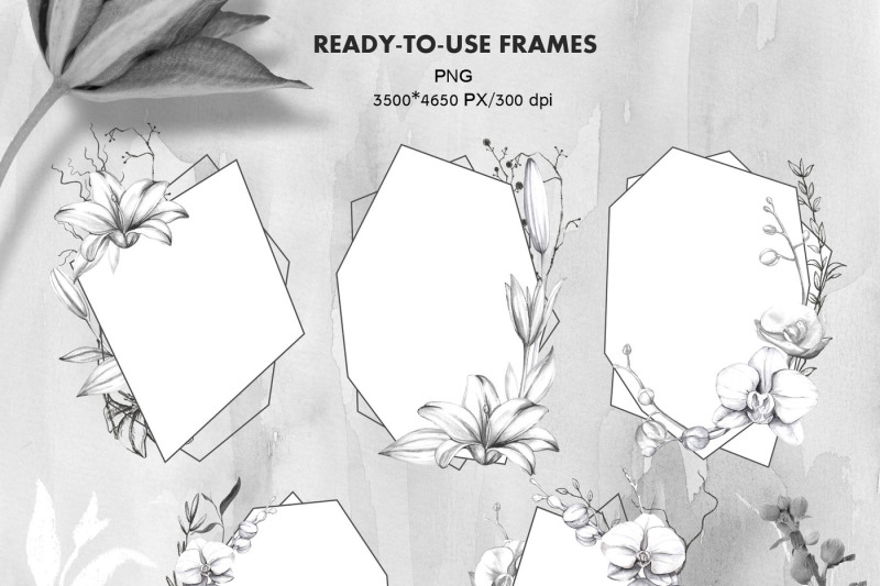 ikebana-botanical-winter-kit