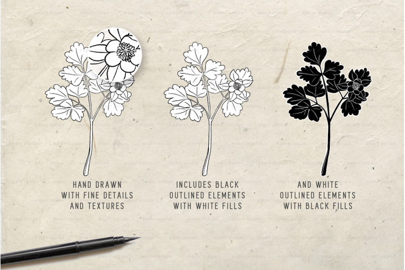 botanical-apothecary-clipart-amp-logos