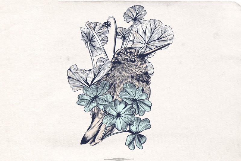 collection-of-vector-hummingbirds-vol-2