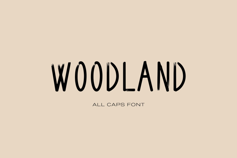 the-font-bundle
