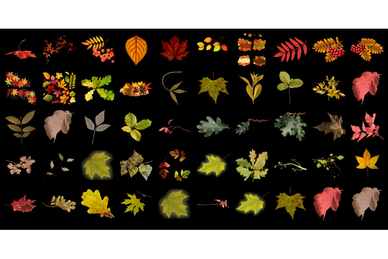400-autumn-leaves-transparent-png-photoshop-overlays-backgrounds