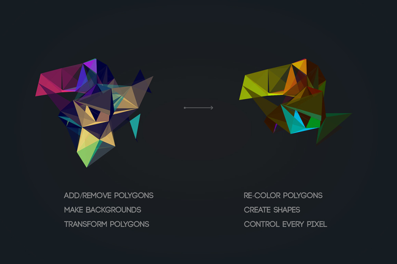 vectapol-colorful-vector-polygons
