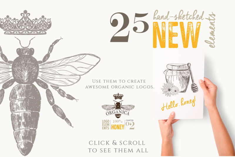 4-in-1-organic-logo-elements-60-percent-off