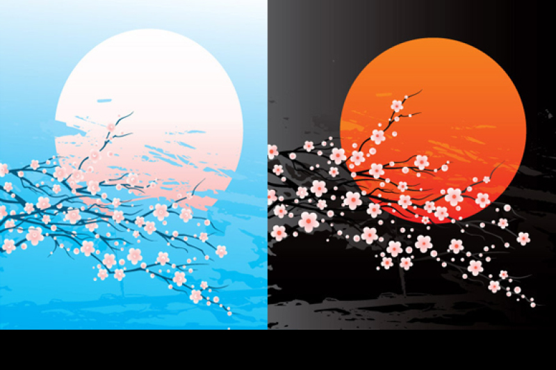 bloom-cherry-tree-twig-and-sun