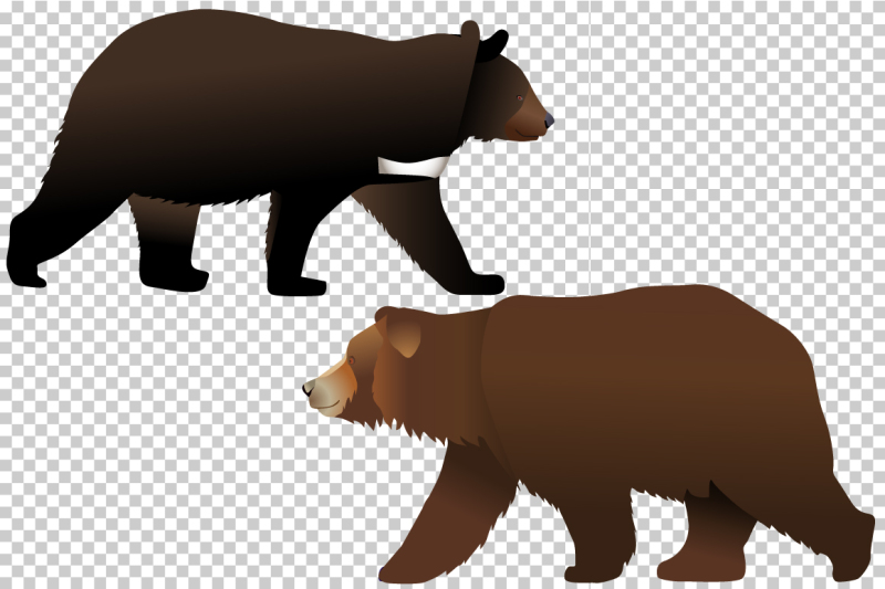 bears-and-bear-cubs