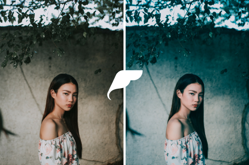 25-film-tone-lightroom-presets-vol-i